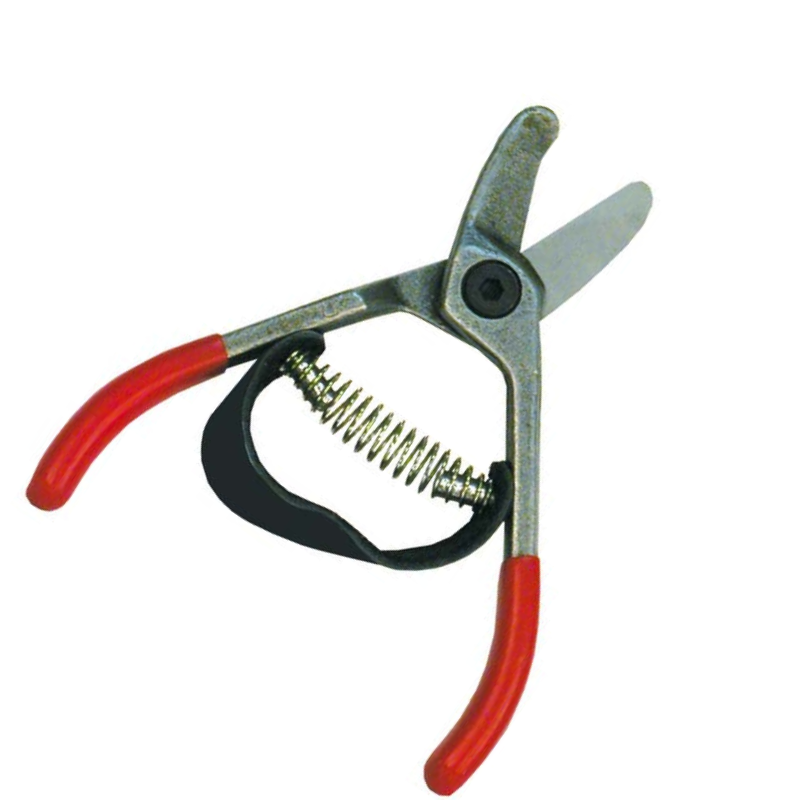 מקטפת אבוקדו ומנגו A-12